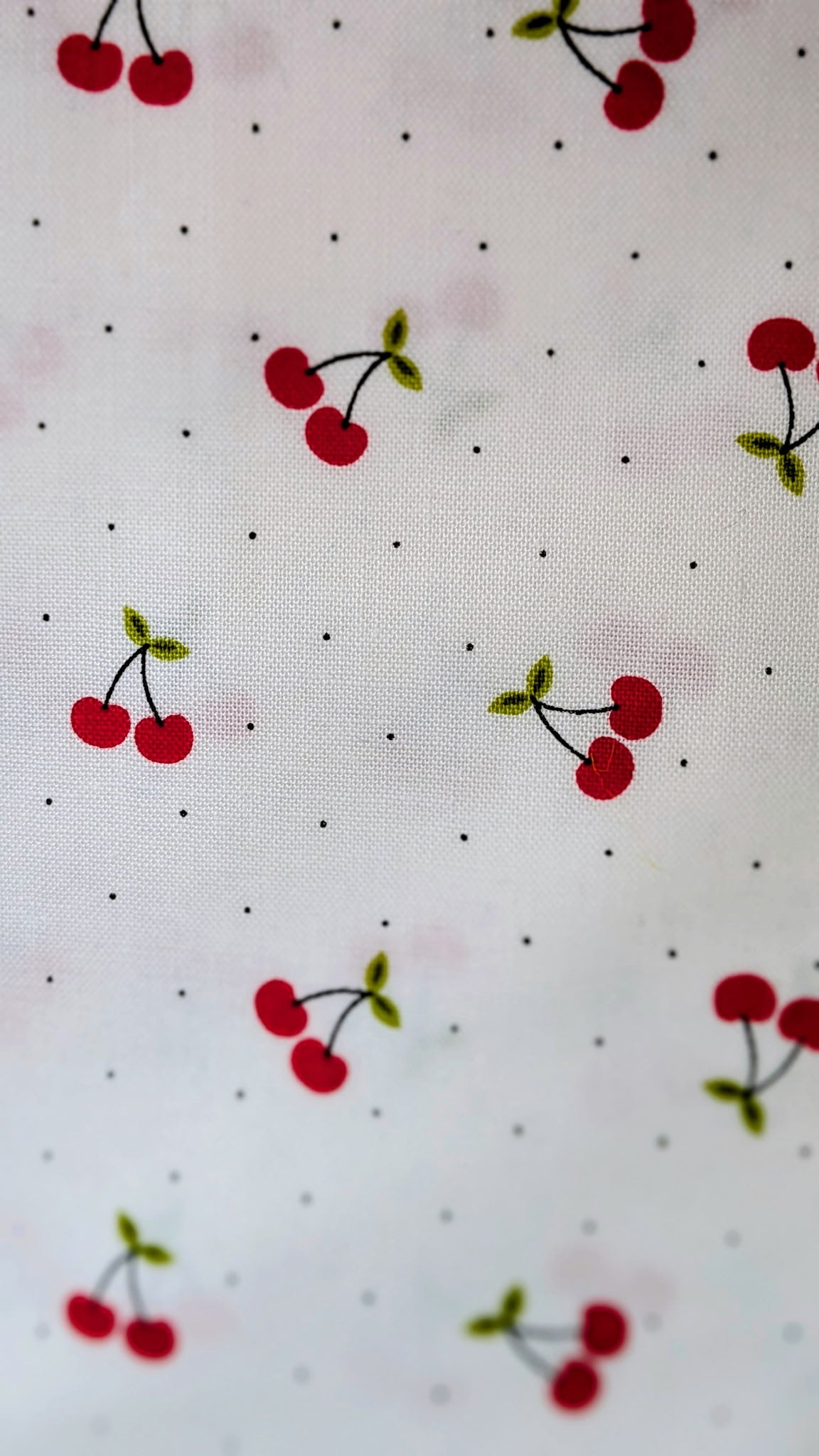 Cherries (White)