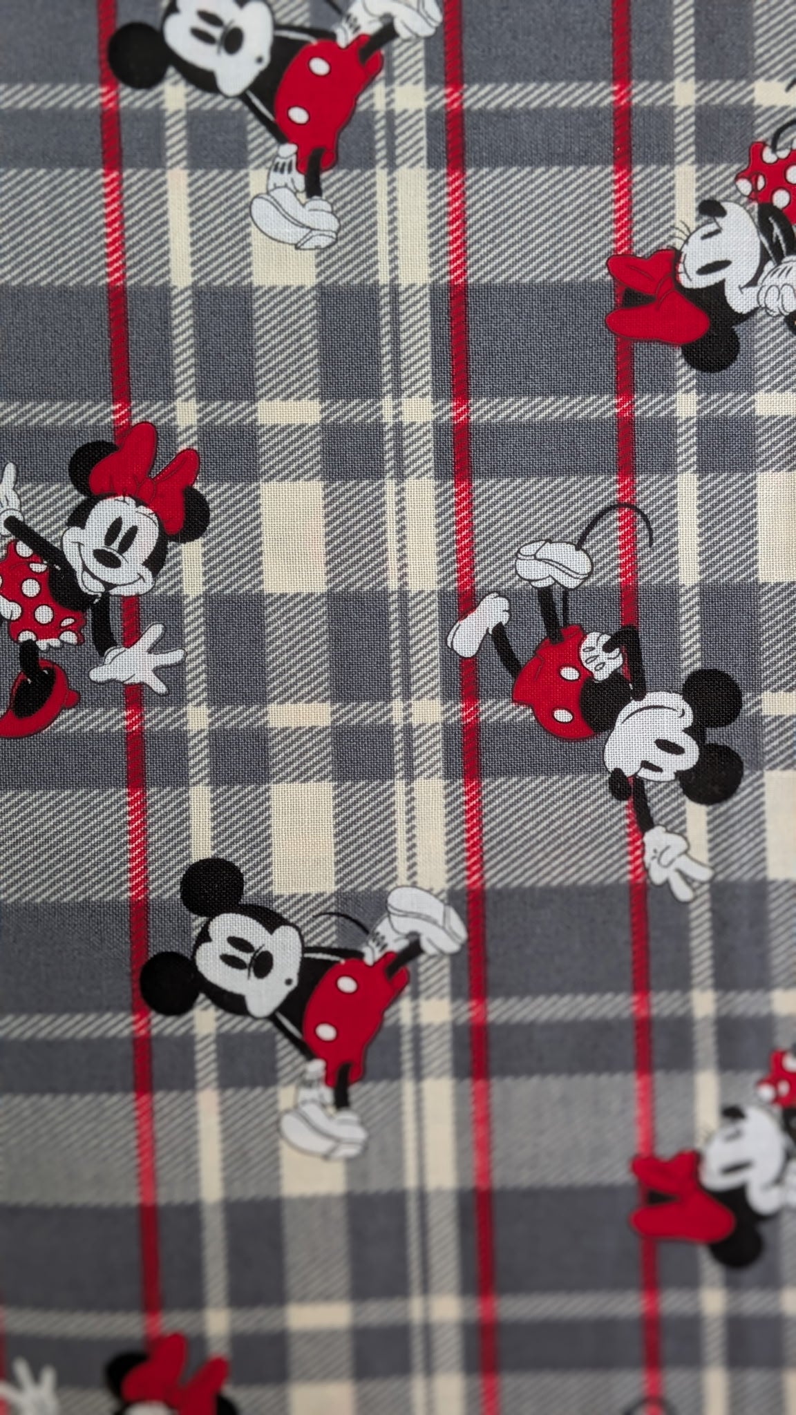 Mickey Mouse