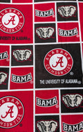 University of Alabama