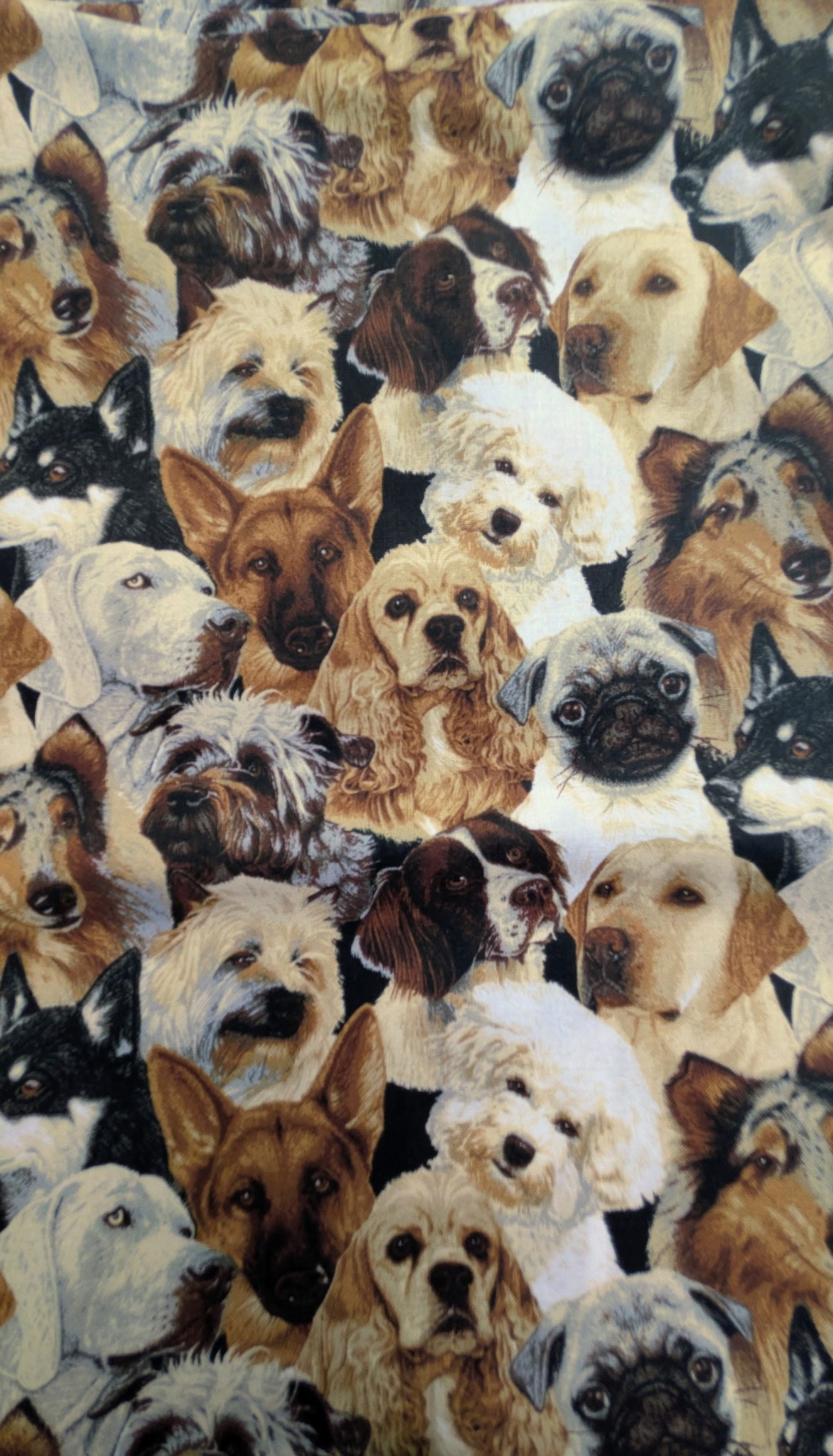 Dogs (Version 2)