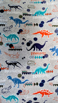 Dinosaurs (Kids)