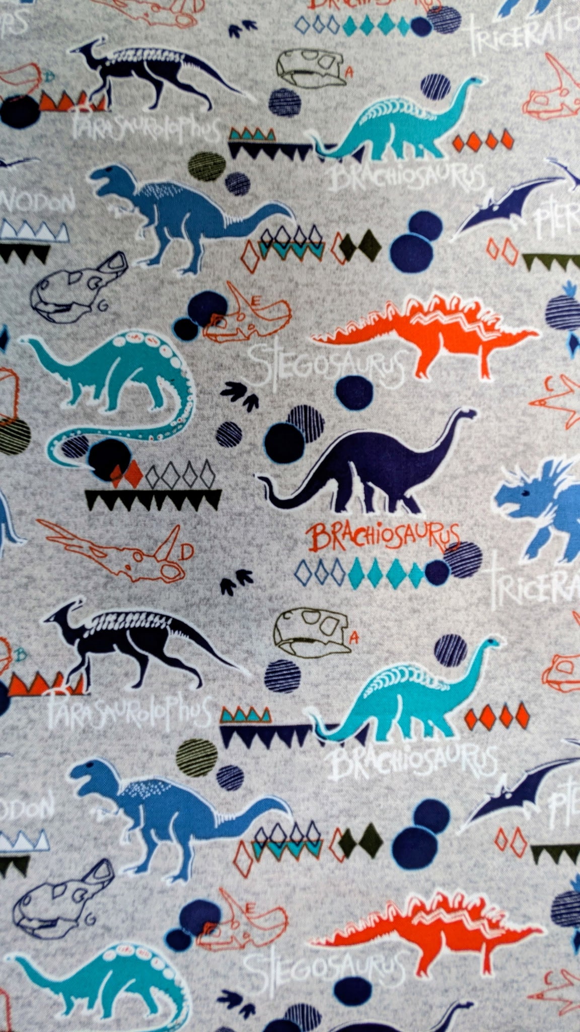Dinosaurs (Kids)