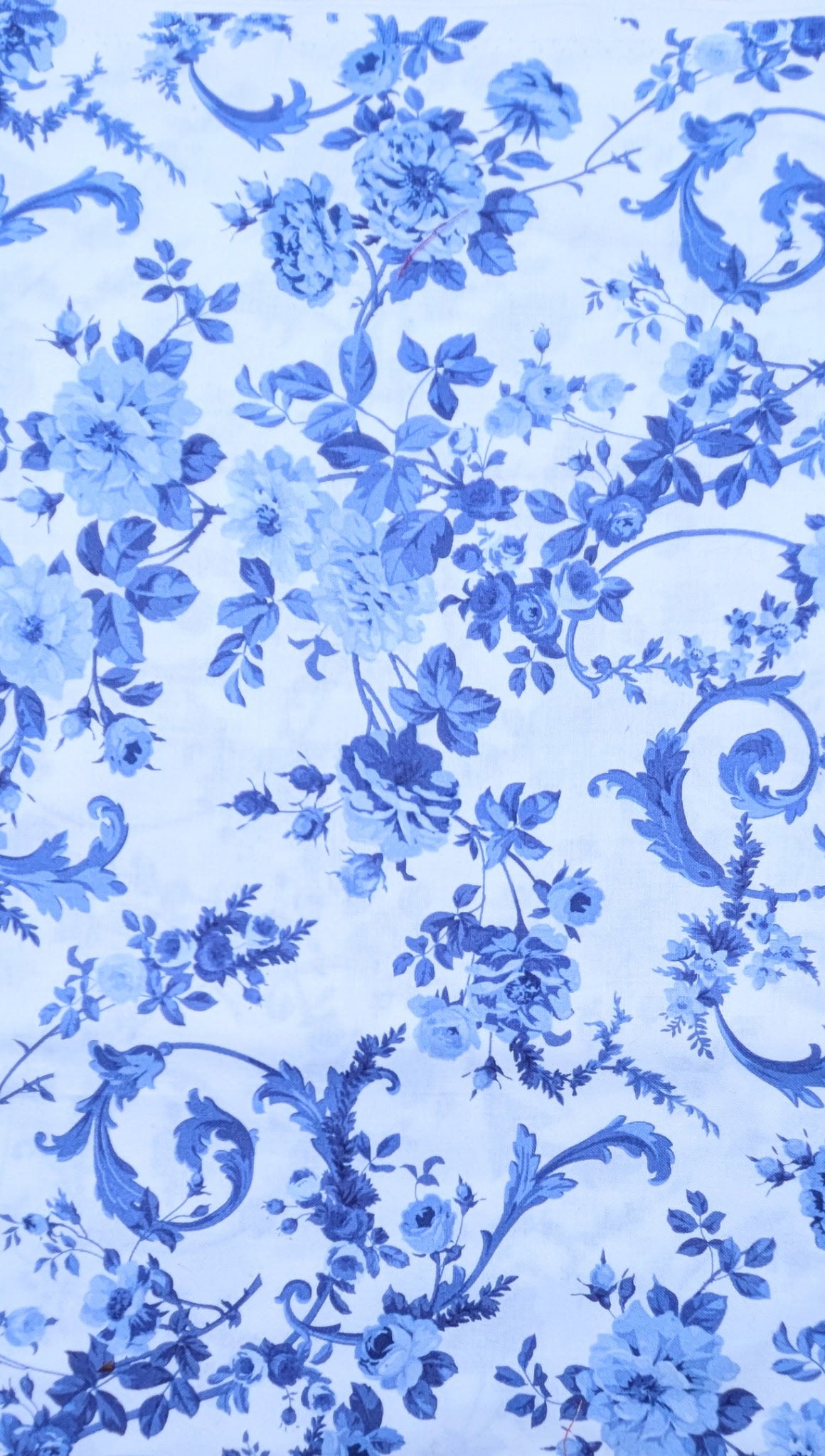 Blue Floral