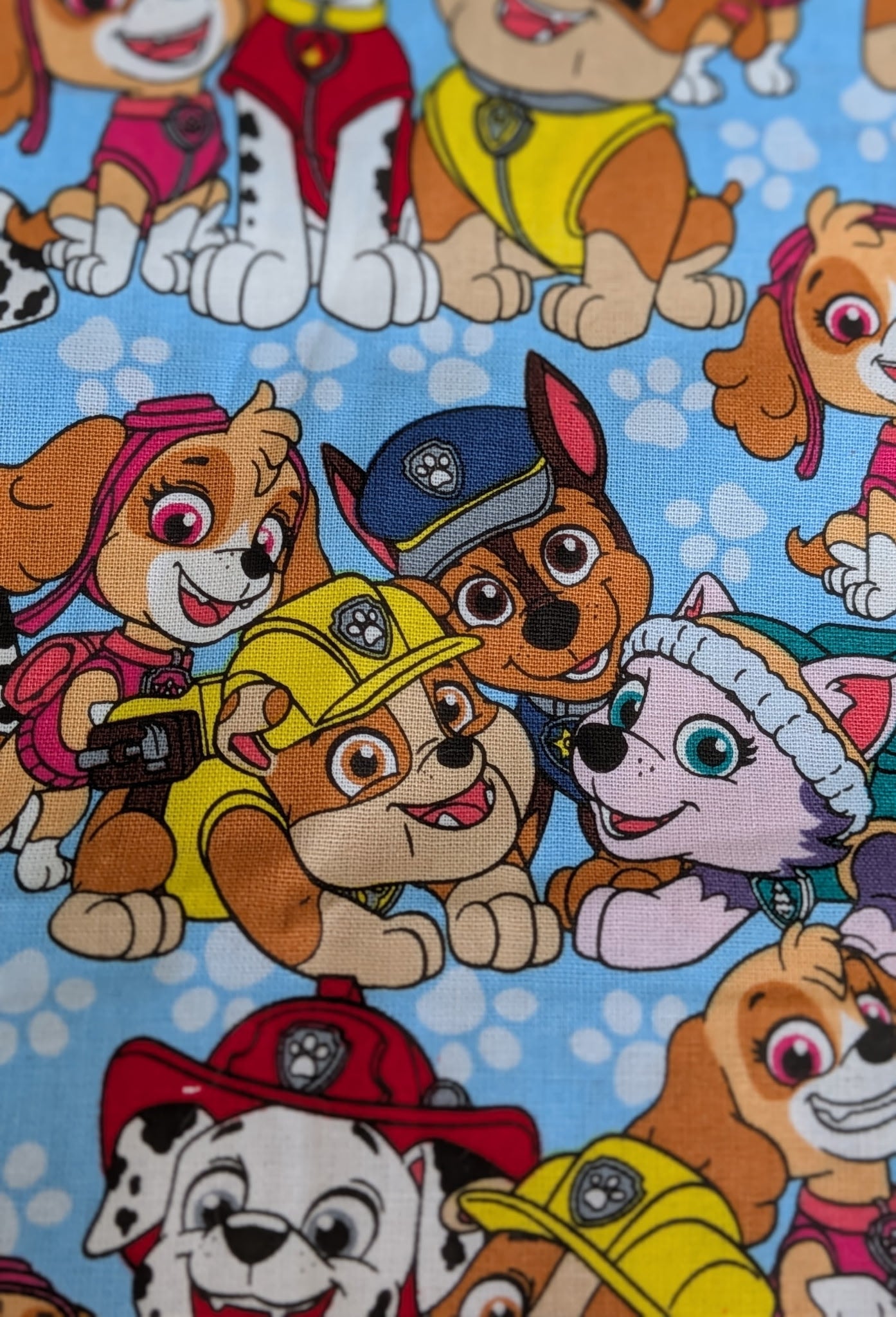 Paw Patrol (Version 2)
