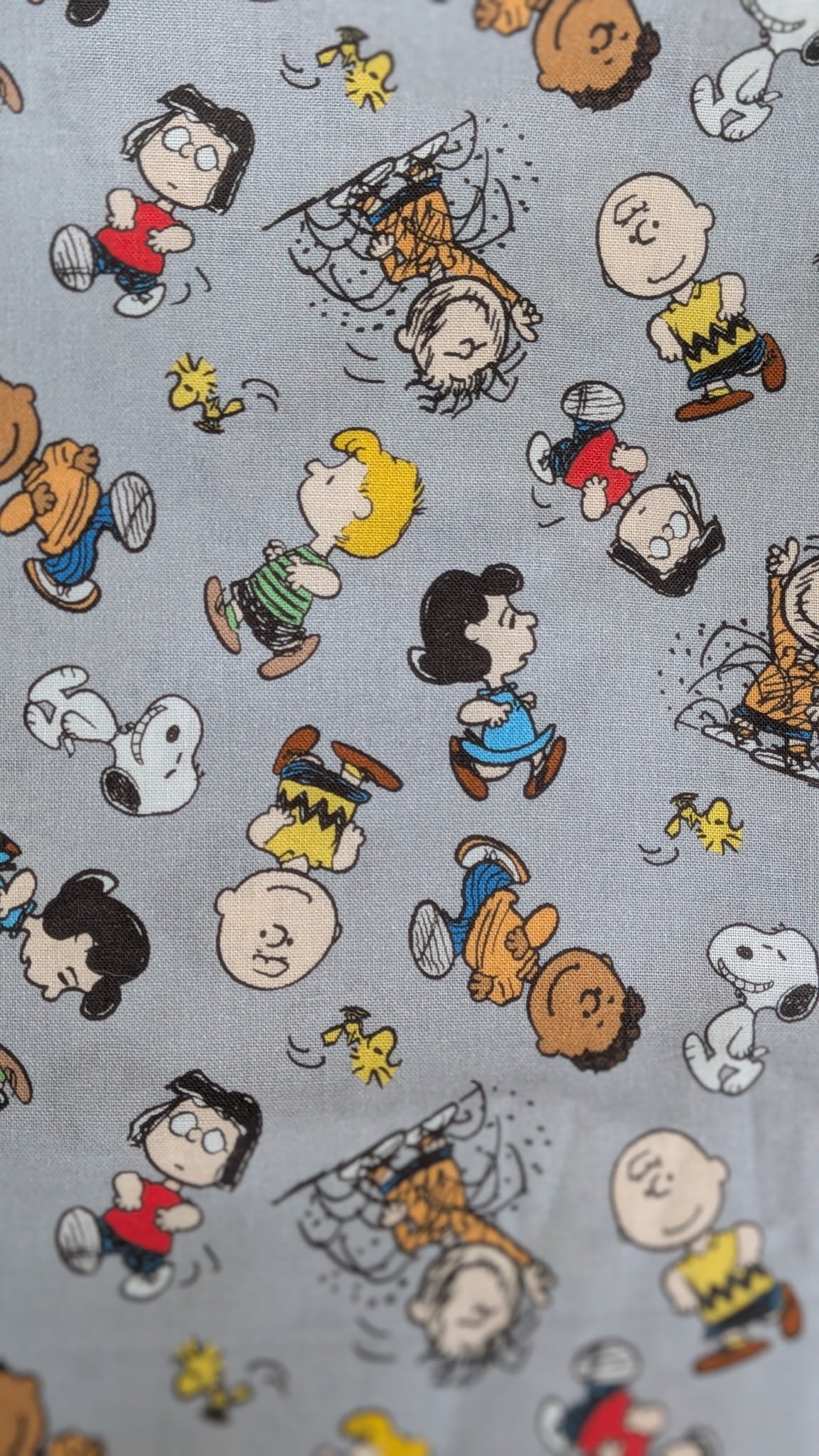 Charlie Brown Peanuts