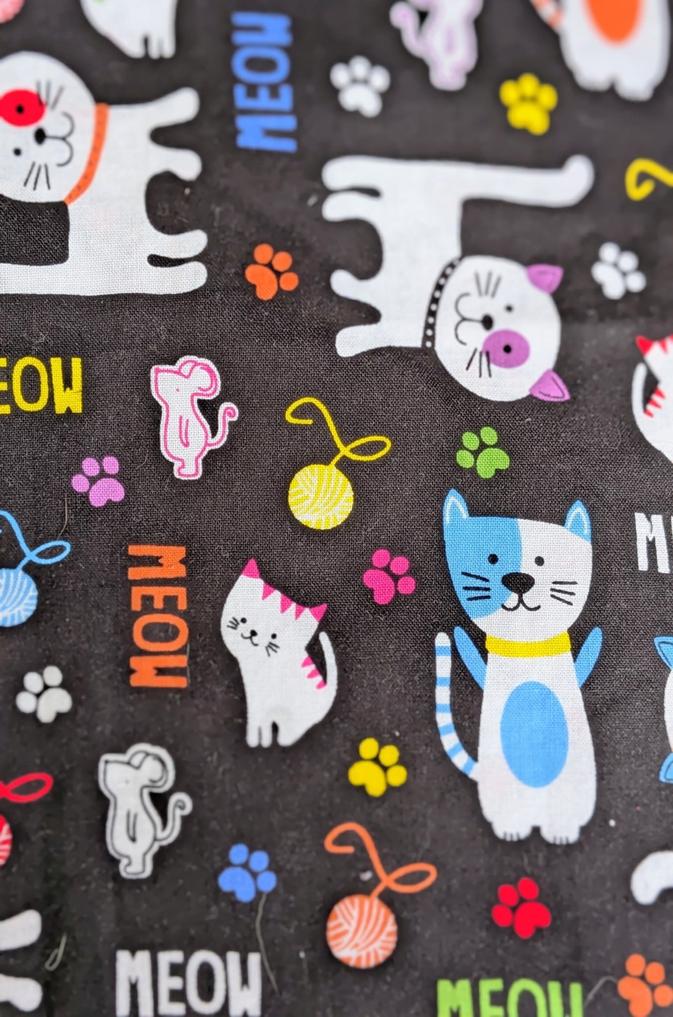 Cats (Black Background)