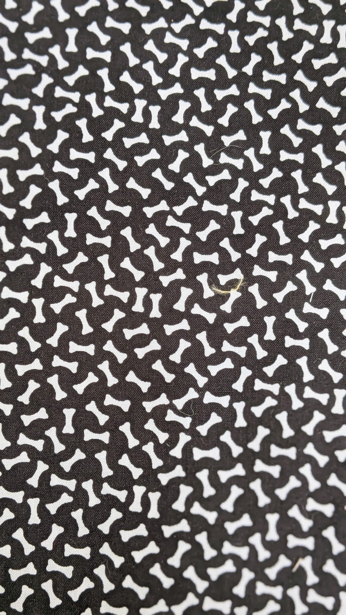 Dog Bones (Black Background)
