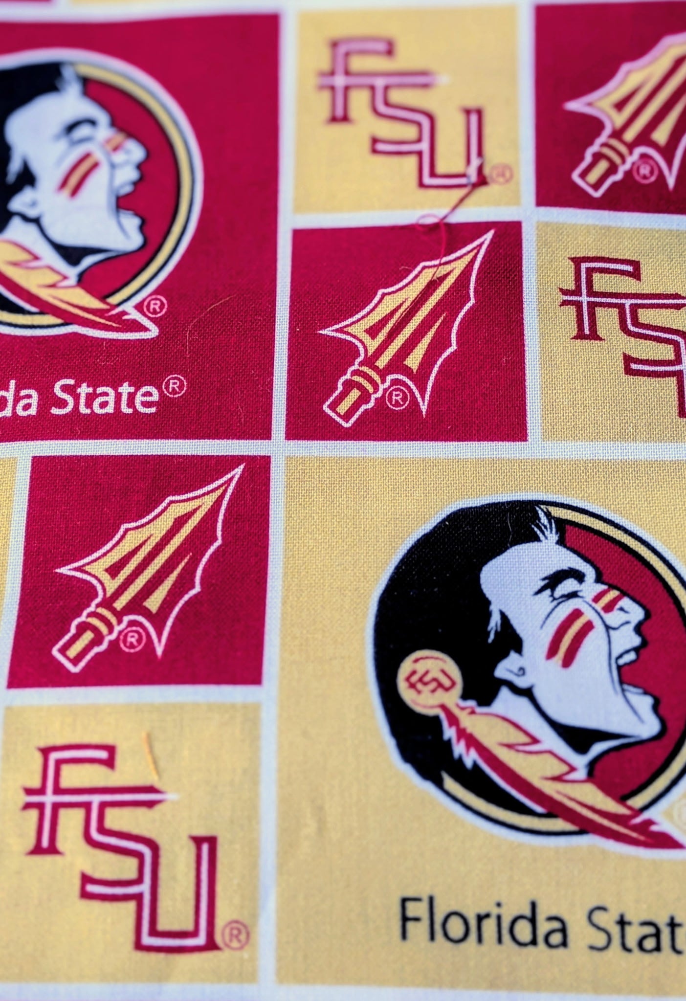 FSU - Florida State University