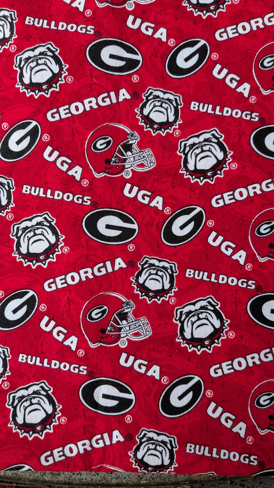 University of Georgia Bulldogs